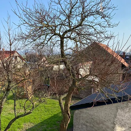 Dremcice -ceske Stredohori Holiday home