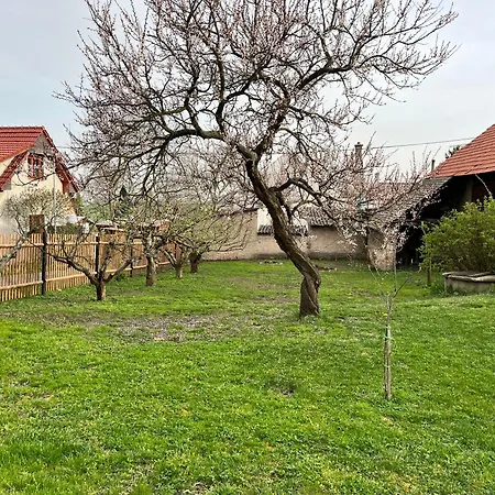 Dremcice -ceske Stredohori Holiday home *
